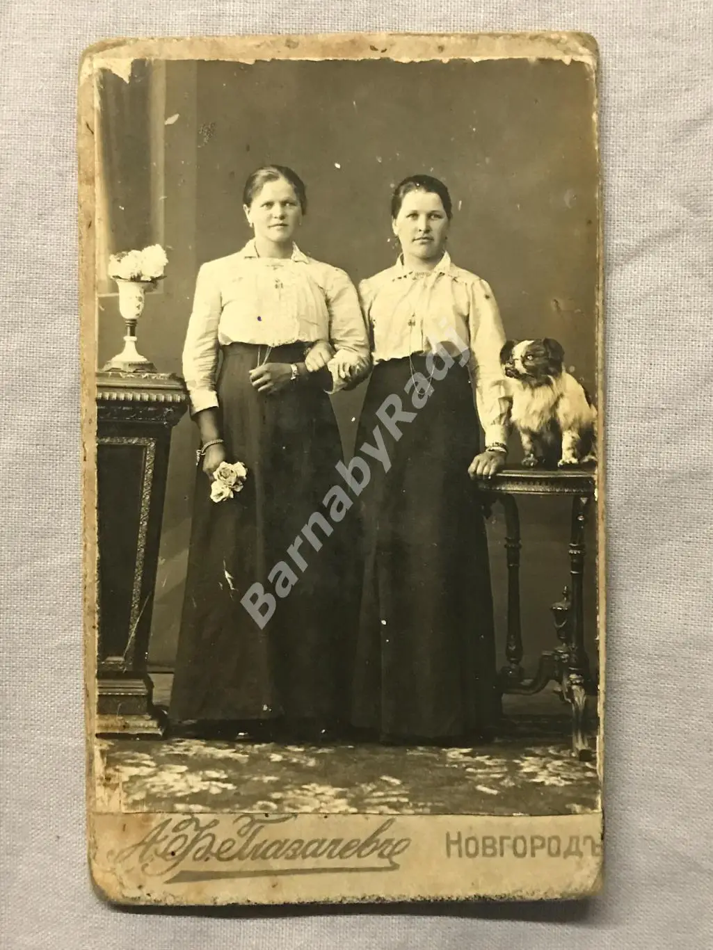 До 1917 г. фотограф Глазачев В. Новгород Две подруги Мода Собака