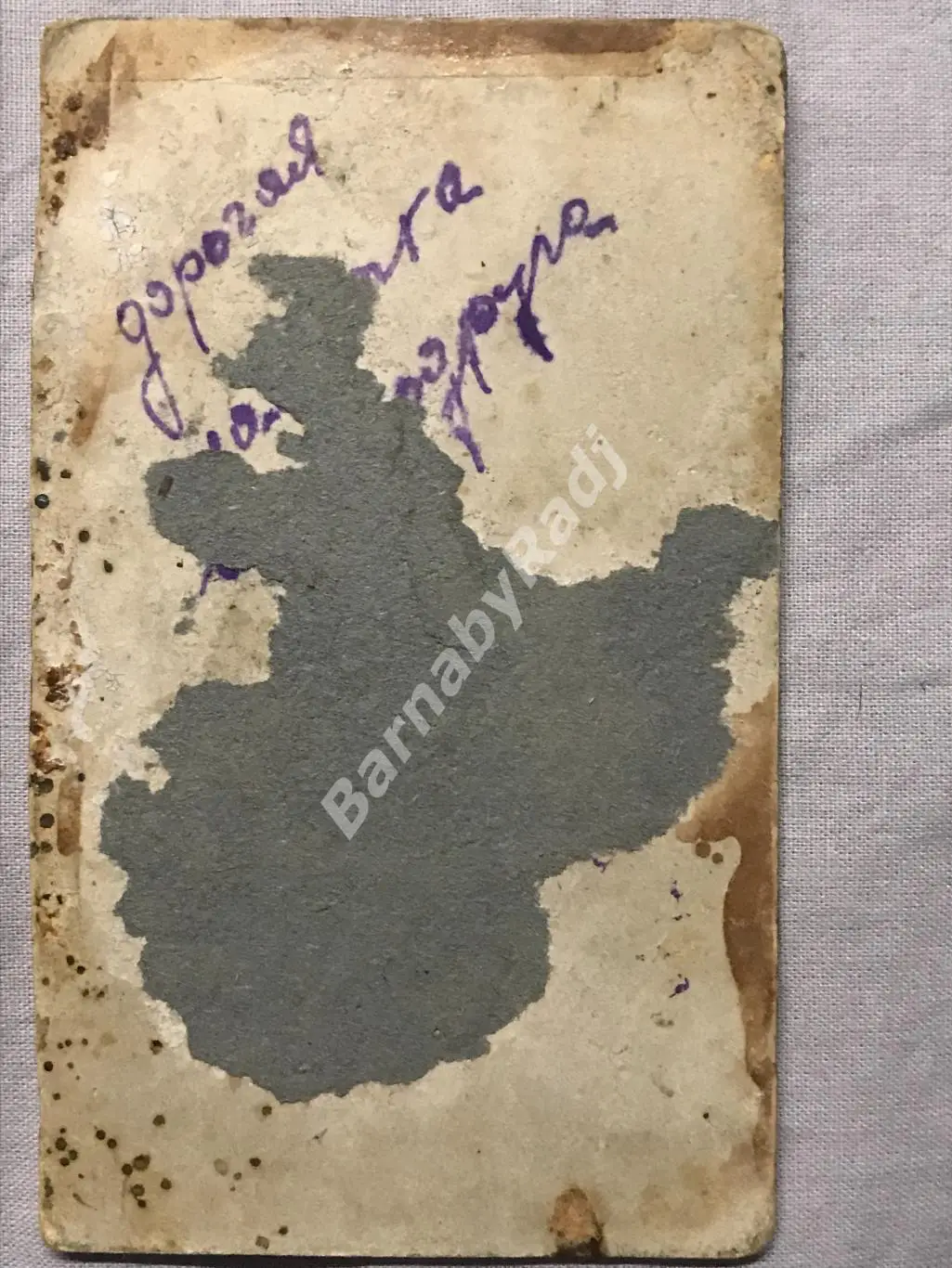 До 1917 г. фотограф Глазачев В. Новгород Две подруги Мода Собака 1