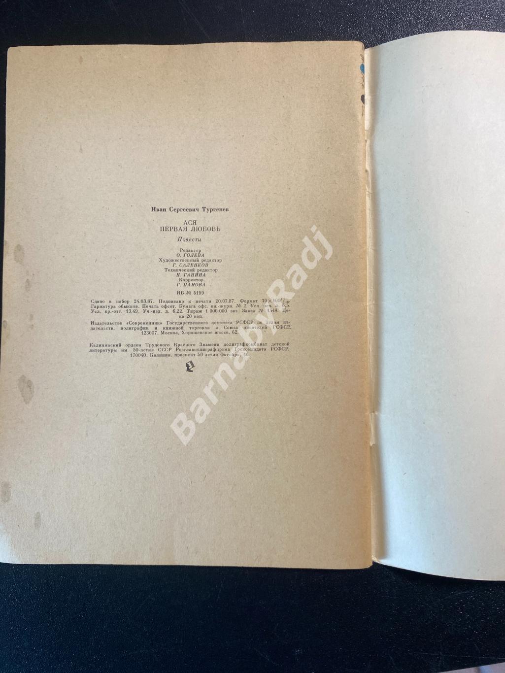 И.С. Тургенев Первая любовь, Ася 1987. Отрочество 2