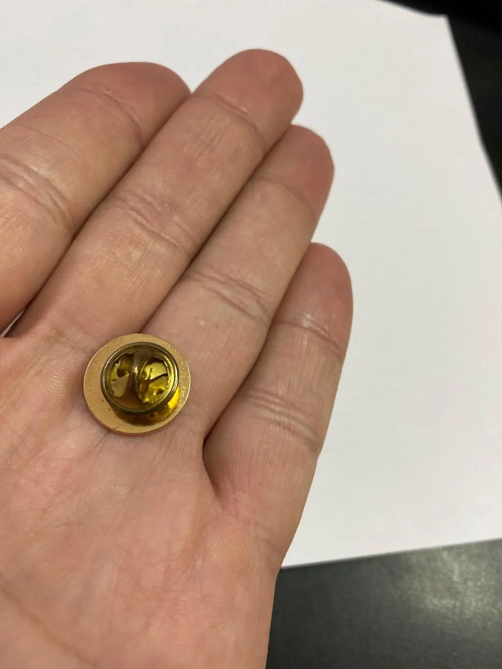 Официальный значок Динамо Киев (Украина) 2