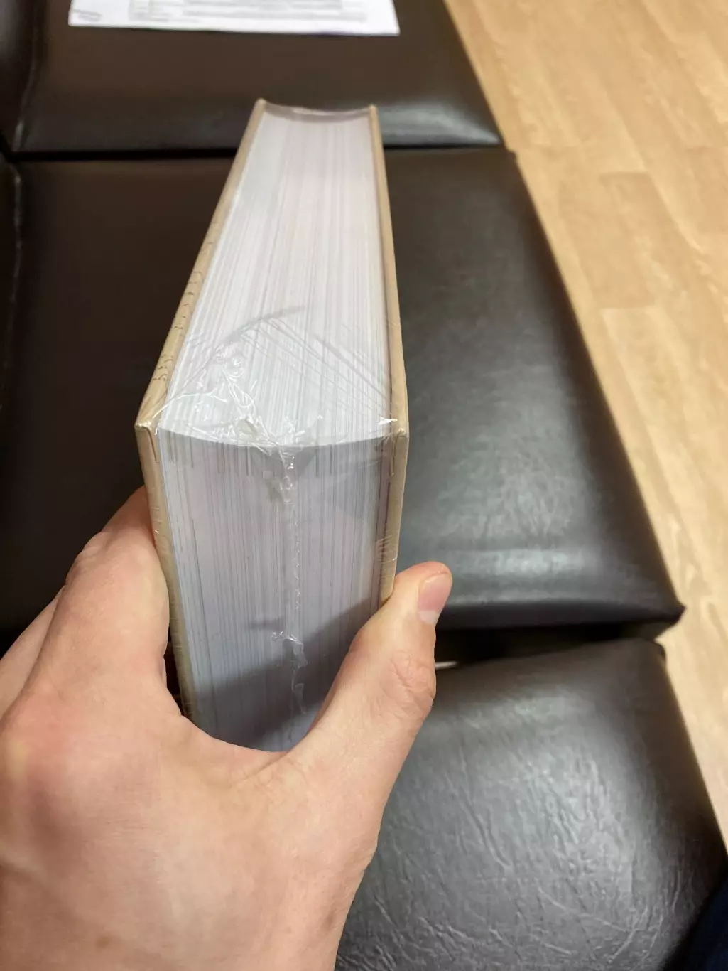 Роман Ф.М. Достоевский Идиот 1