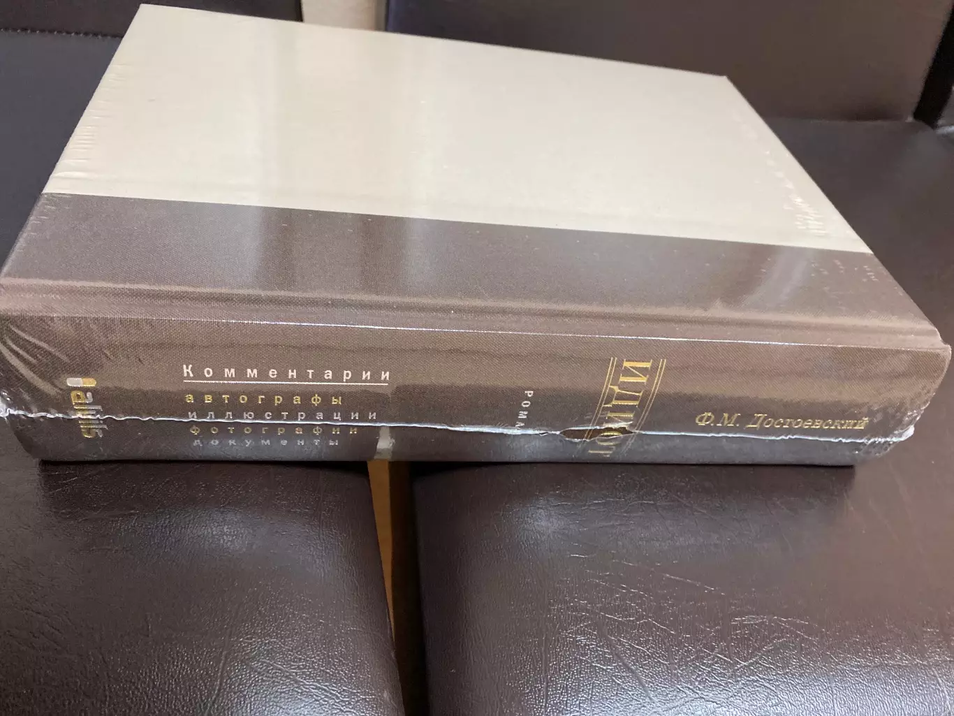 Роман Ф.М. Достоевский Идиот 2