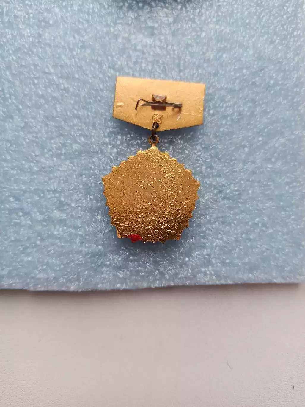 Лёгкая атлетика, Комсомол, 60 лет Ленинскому комсомолу, Пробег Москва-Липецк 2