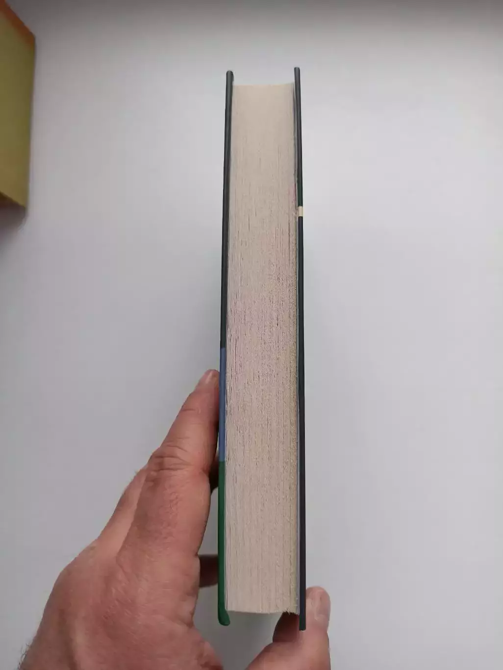 Футбол, Андрей Меркин, Записки лесника, книга от легендарного болельщика Спартак 3