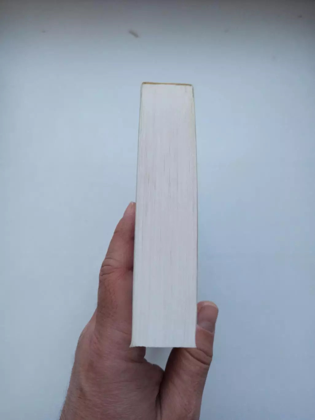 Книга о футболе, Игорь Рабинер, Правда о Зените, 2009, Зенит Санкт-Петербург 4