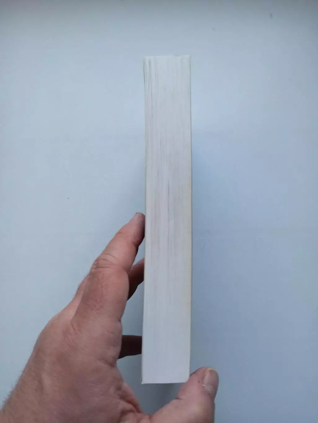 Книга о футболе, Игорь Рабинер, Правда о Зените, 2009, Зенит Санкт-Петербург 5