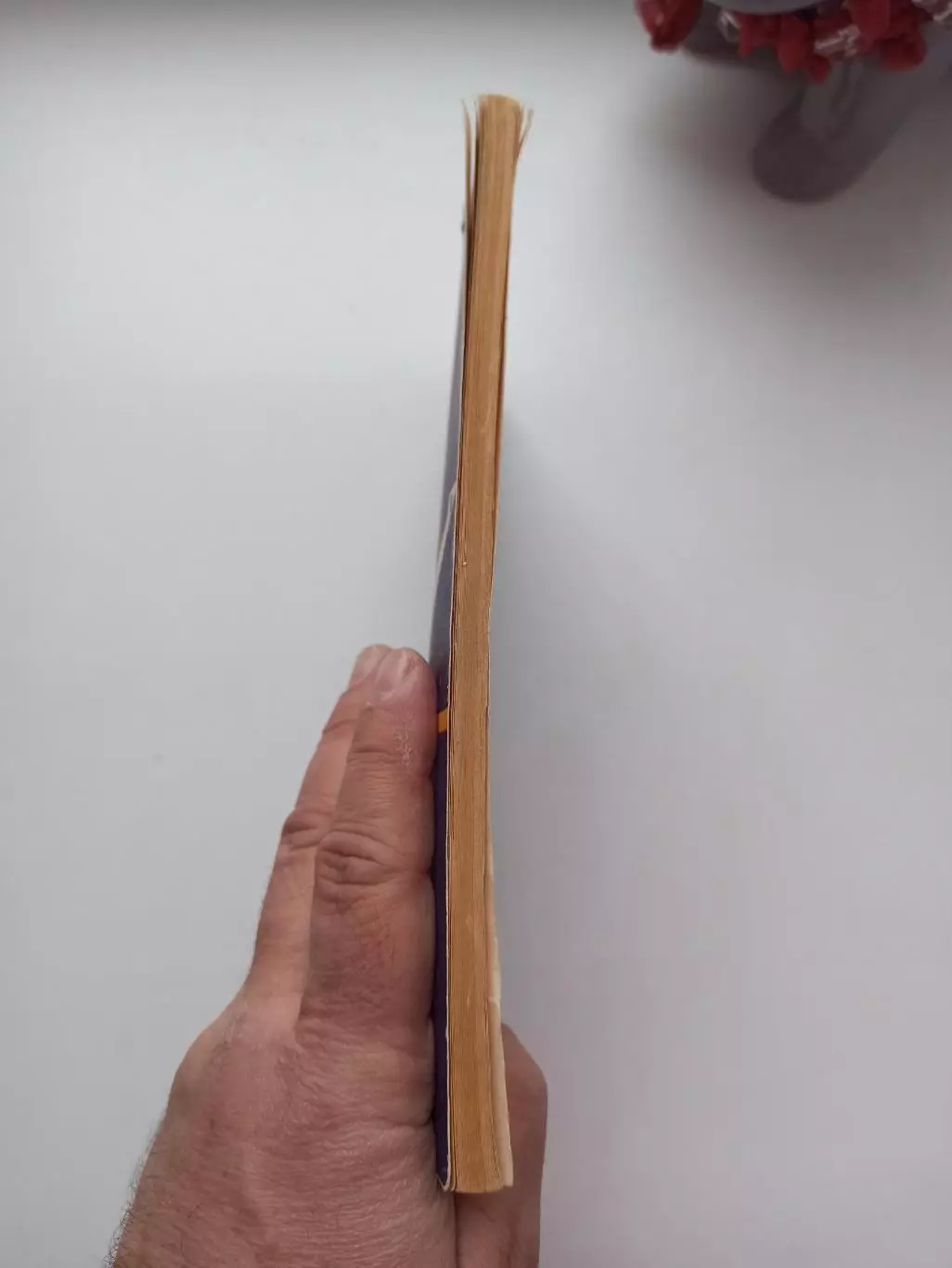 Гимнастика, Сучилин, Гимнаст в воздухе (соскоки прогрессирующей сложности), 1978 2