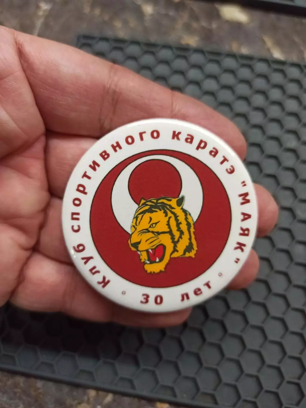 Единоборства, Клуб спортивного каратэ Маяк, 30 лет, магнит, тигр, редкий 3