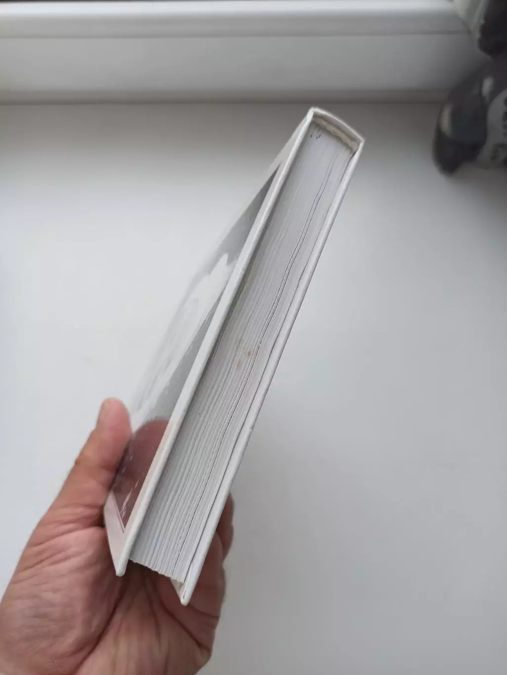 Коньки, Владимир Артамонов, Моя сестра Инга Артамонова, 2005, редкая книга 6