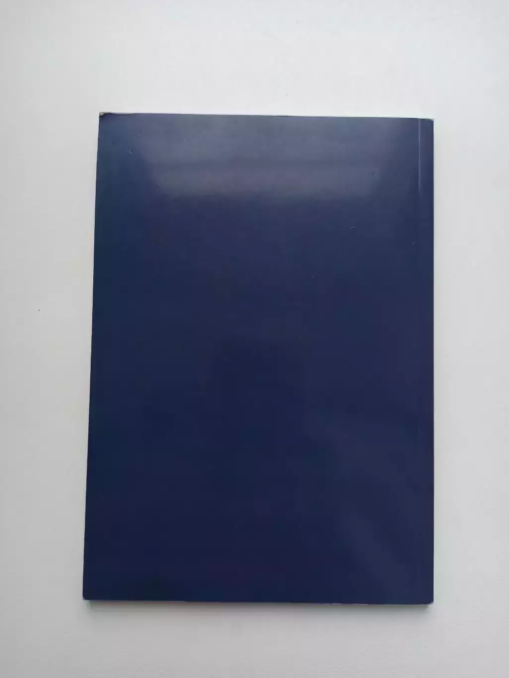 Книга, Мария Позднякова, Футбол готовит глобальную катастрофу, Москва, 2020г. 6