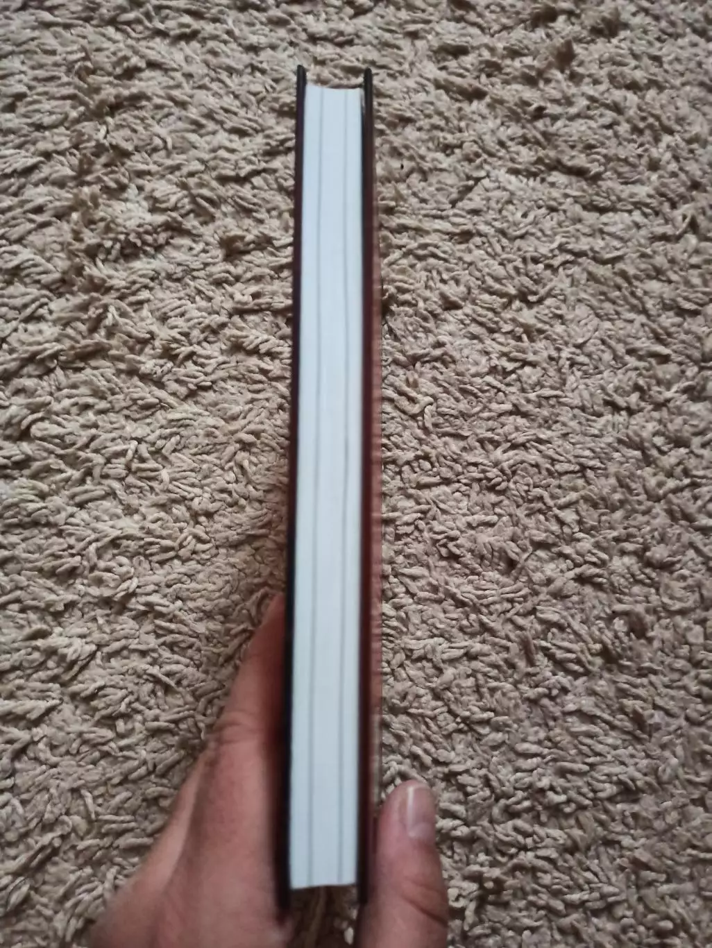 Н. Ярёменко, Новая жизнь российской сборной или приключения итальянца в России 3