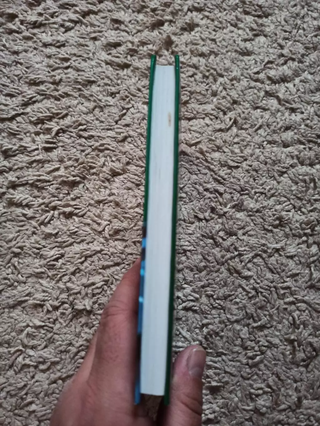 В. Г. Шехов, Нарды, От новичка до чемпиона, пособие-самоучитель, 2008, Феникс 3