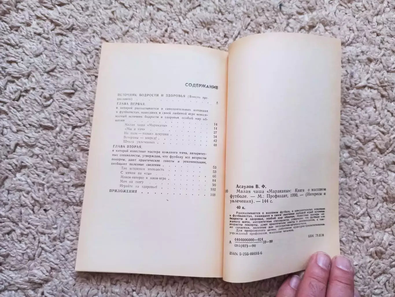 Футбол, Виктор Асаулов, Малая чаша Мараканы, 1990, книга о массовом футболе 3