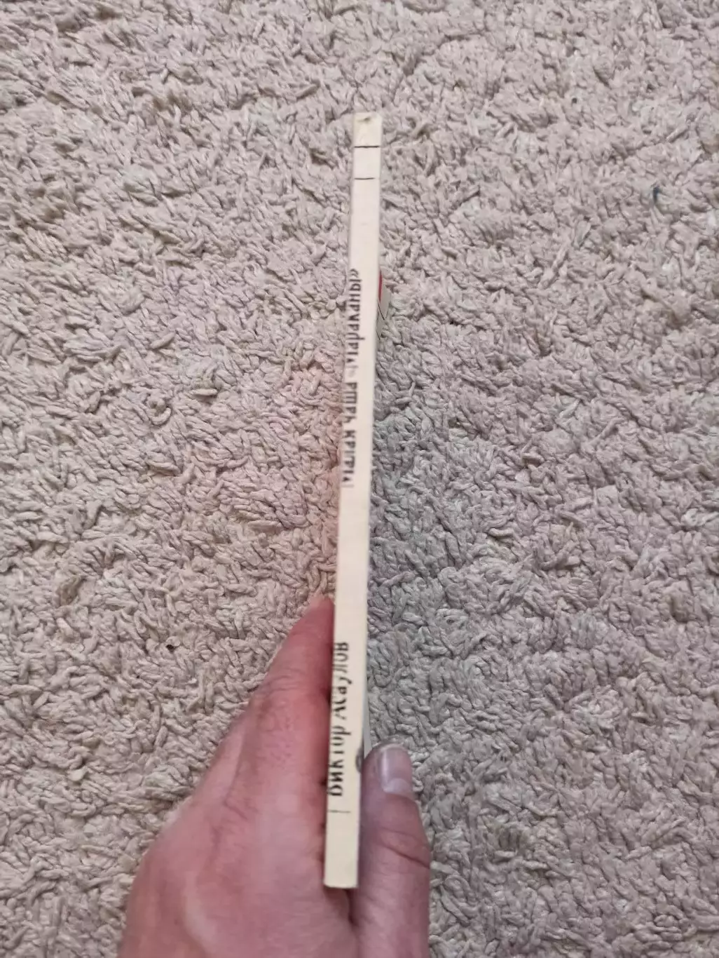 Футбол, Виктор Асаулов, Малая чаша Мараканы, 1990, книга о массовом футболе 6