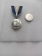 Футбол, Призер соревнований на первенство Черемушкинского района г Москвы