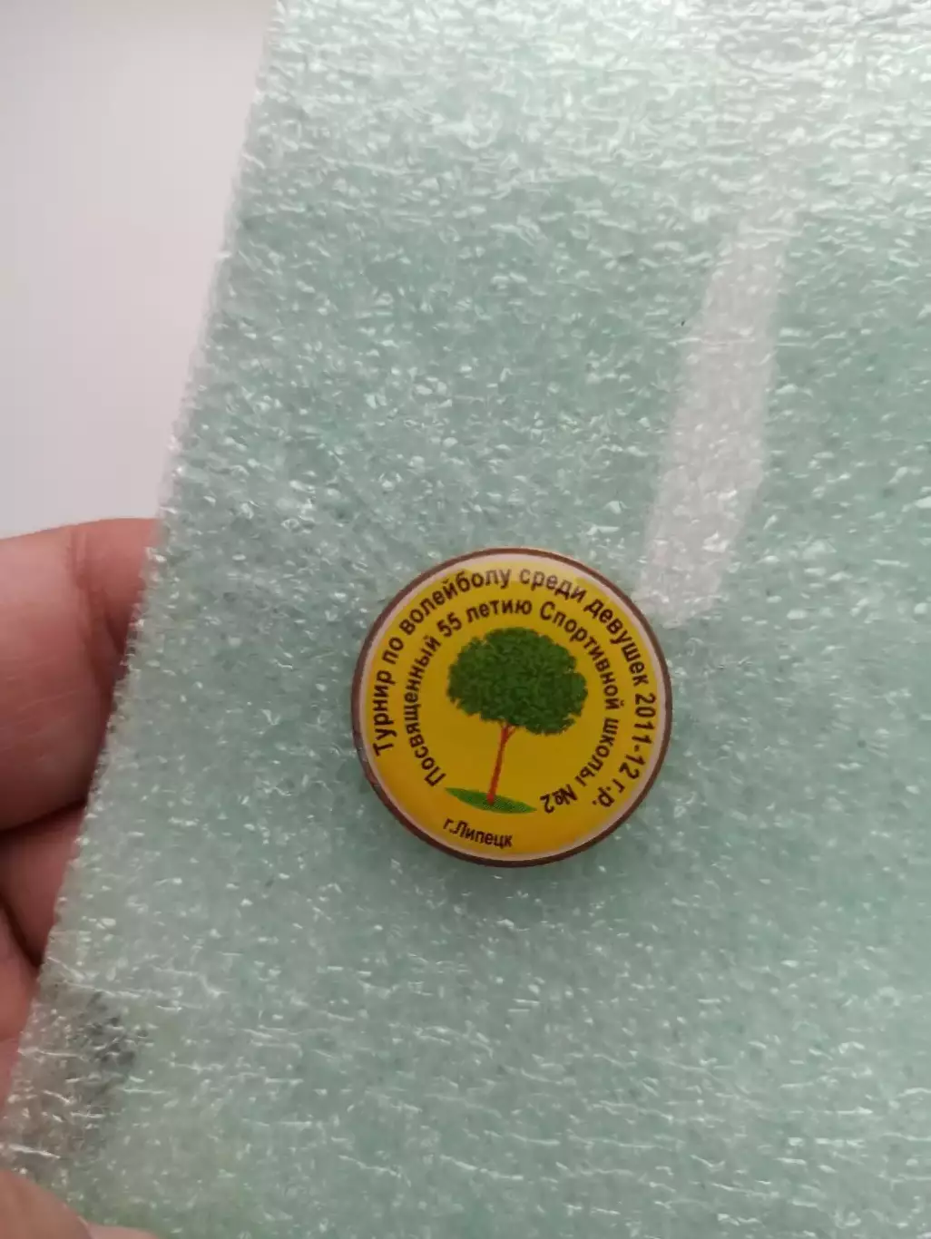 Волейбол, Липецк, Турнир по волейболу среди девушек, посвящённый 55 летию 2