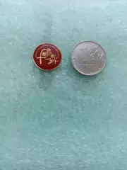 Зарубежный футбол, Federacion Castilla Leon de Futbol, цанга