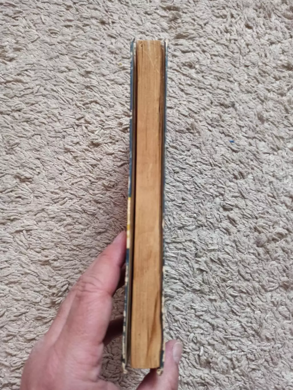 Фигурное катание, Я. А. Смушкин, Искусство фигурного катания на коньках, 1967 6