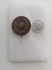 Футбол, Днепр Днепропетровск, чемпион СССР, 1983, тяжелый, Украинская ССР, вид 2