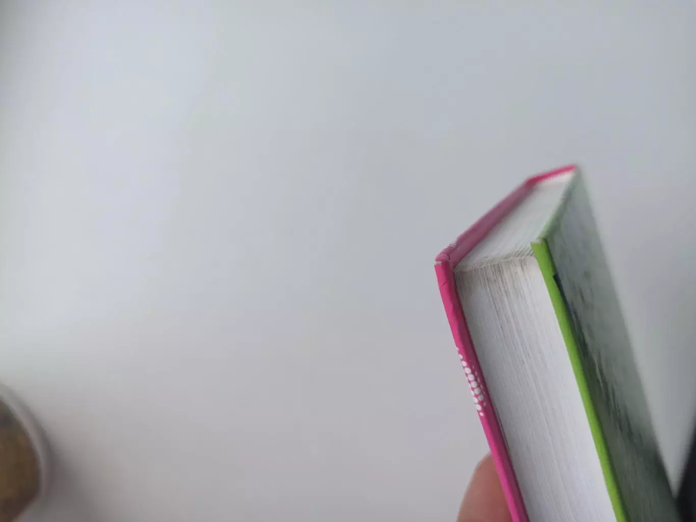 Фанаты, хулиганы, околофутбол, Дуги Бримсон, Фанаты, Амфора, 2007 6