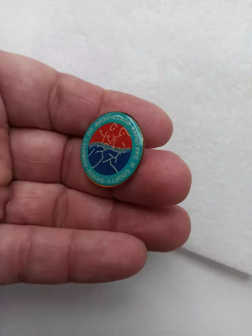 Московская область, г. Лобня, Комитет по физкультуре и спорту, Движение-жизнь 2