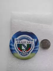 Российский футбол, Футбольный клуб, Авангард, Курск, официальный, большой, закат