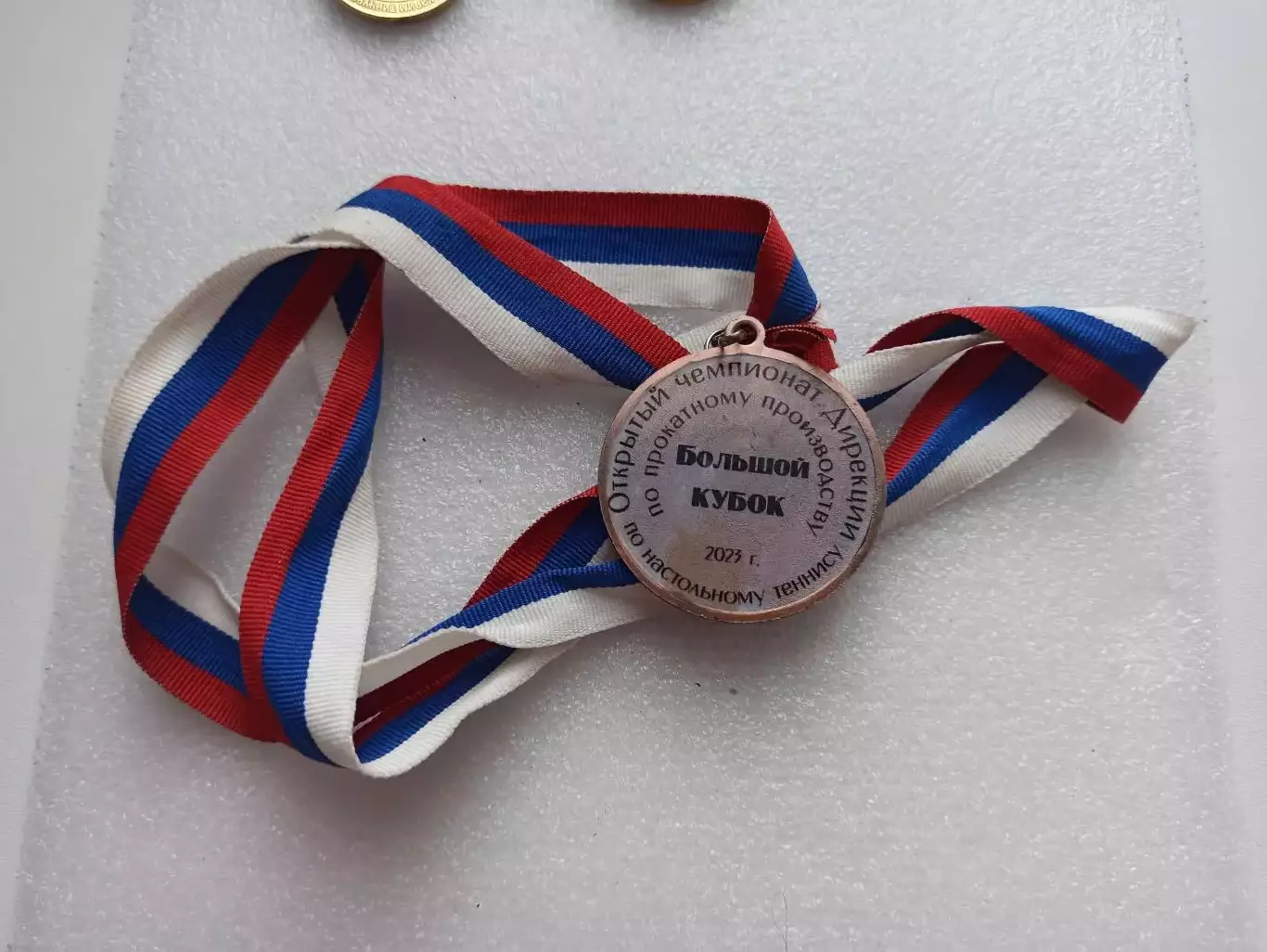 Настольный теннис, Липецк, Открытый чемпионат Дирекции по прокатному про-ву 4