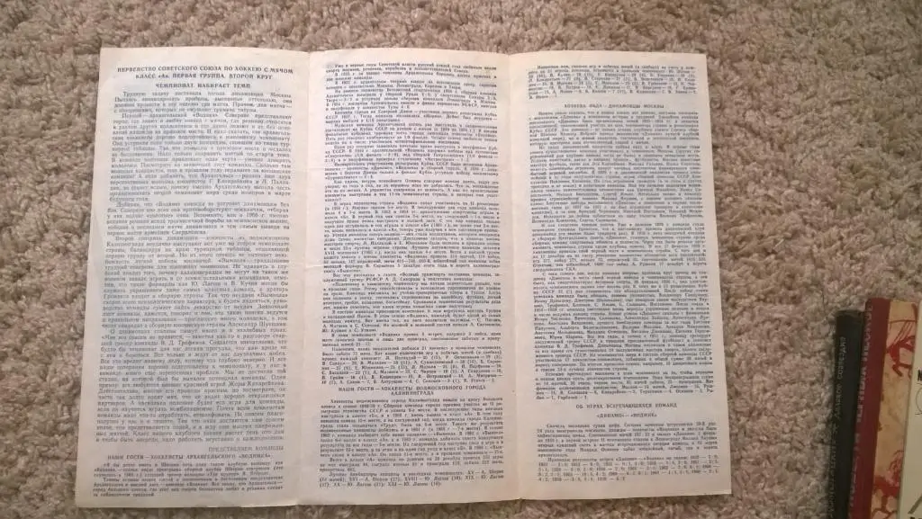 Хоккей с мячом, Динамо (Москва) - Водник (Архангельск), Вымпел (Калининград), 69 2