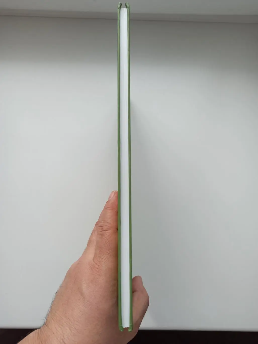 Валерий Попов, Ставропольский футбол в лицах и таблицах,история, статистика 5