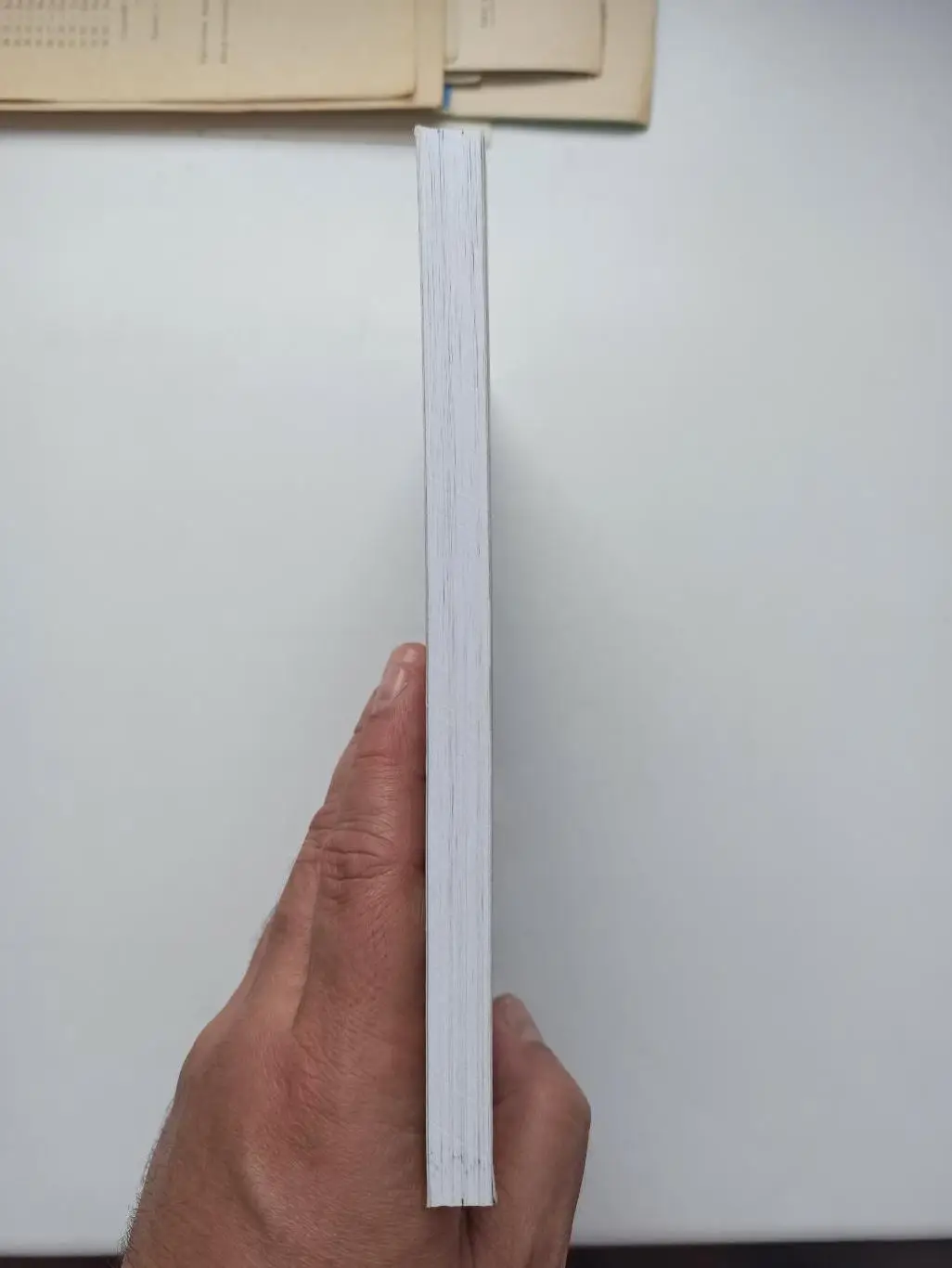 Книга, Барнаул, Валерий Лямкин, Легенды Алтайского футбола, книга первая, 2008г. 5