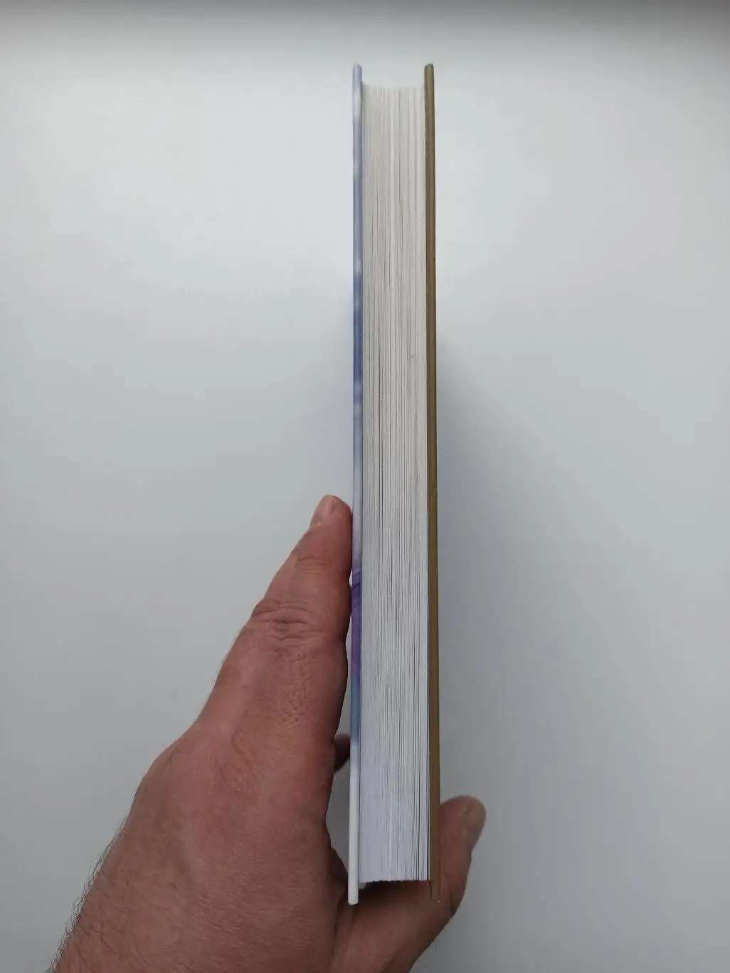 Фигурное катание, А. Ильина, Алена Савченко, Долгий путь к олимпийскому золоту 5