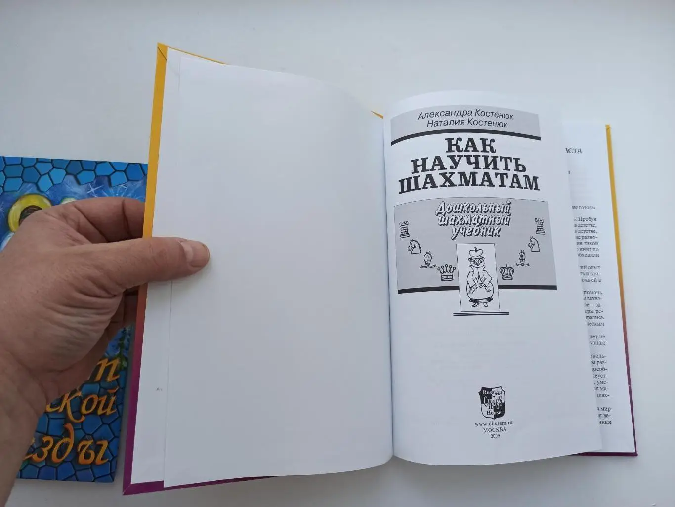 Шахматы для детей, А. и Н. Костенюк, Как научить шахматам, дошкольный шахматный 5