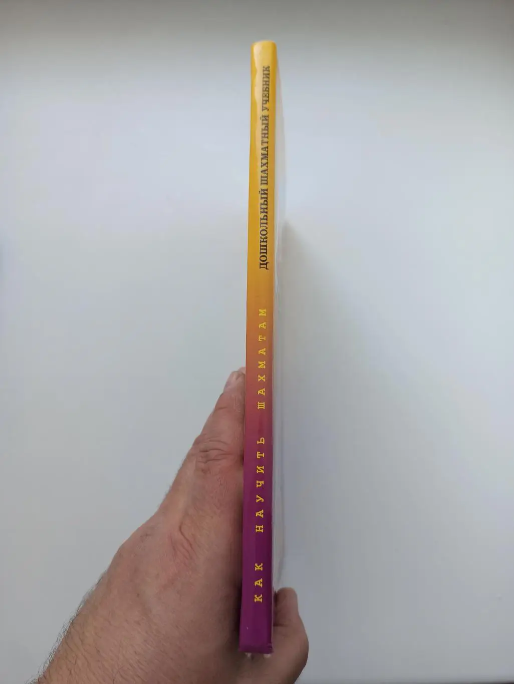 Шахматы для детей, А. и Н. Костенюк, Как научить шахматам, дошкольный шахматный 7