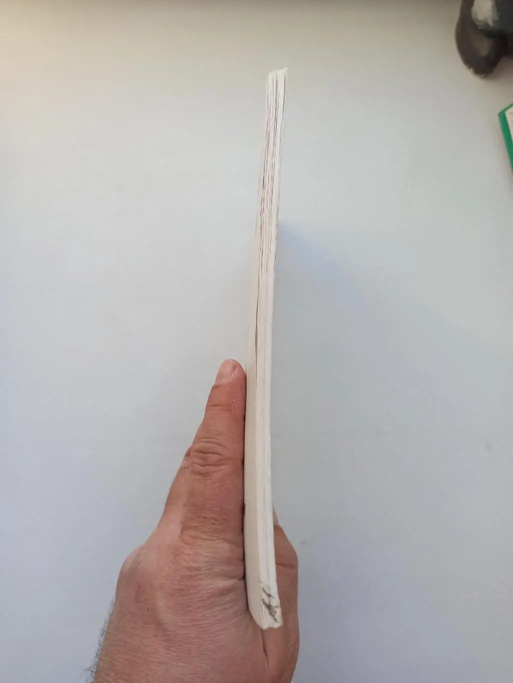 Нисенбойм, Расинский, Торубаров, Календарь-справочник, Спартак Москва, 1996/1997 6