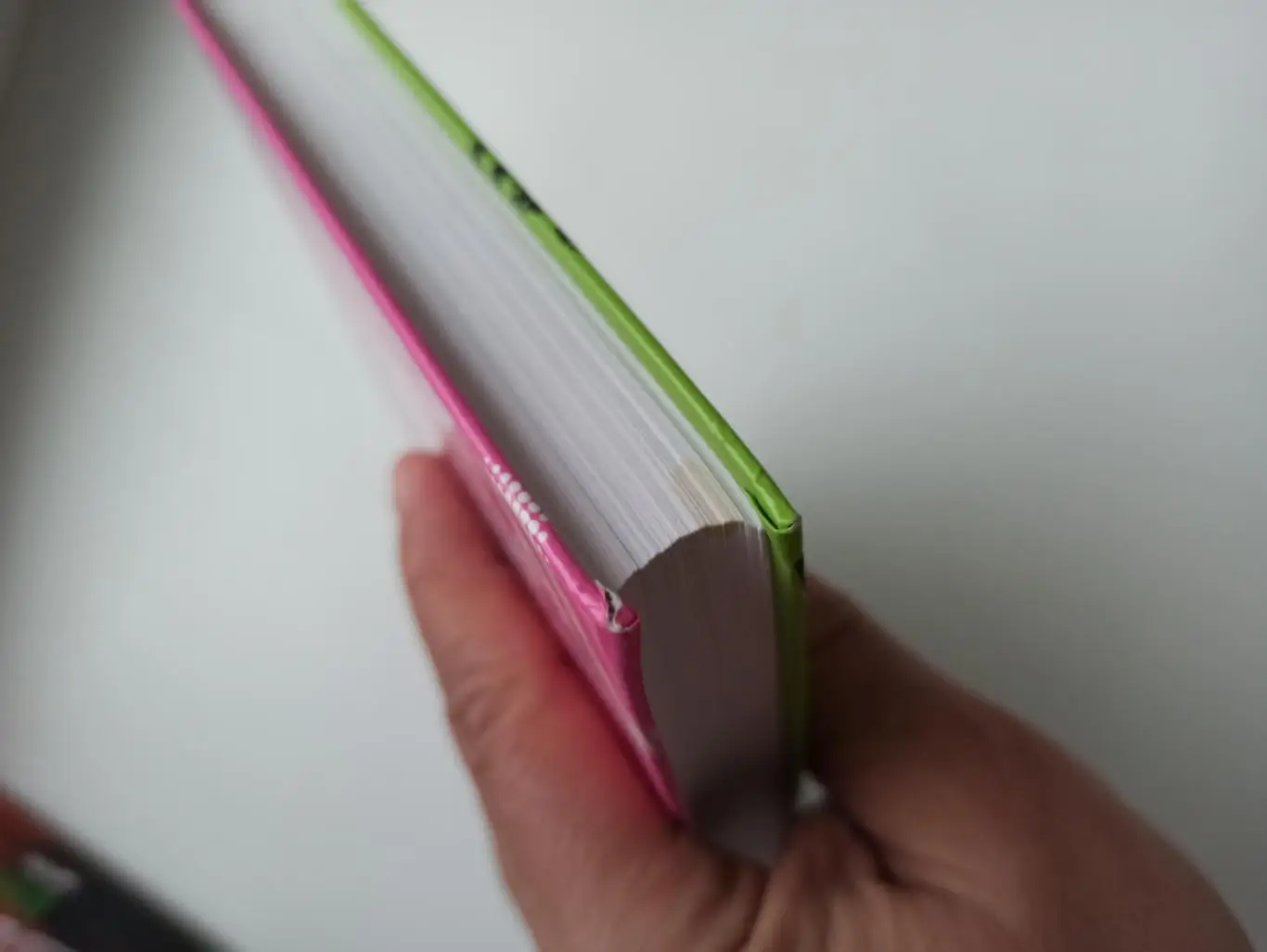 Фанаты, хулиганы, околофутбол, Дуги Бримсон, Фанаты, Амфора, 2007, лот 2 3