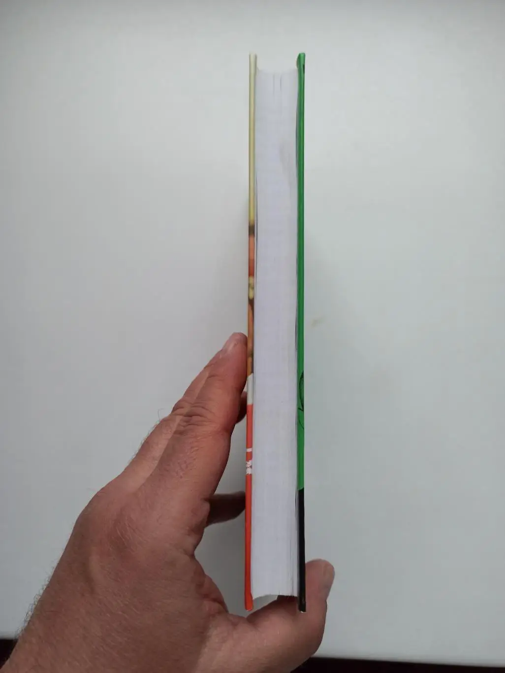 Фанаты, хулиганы, околофутбол, Дуги и Эдди Бримсон, Дни Дерби, Амфора, 2007 3