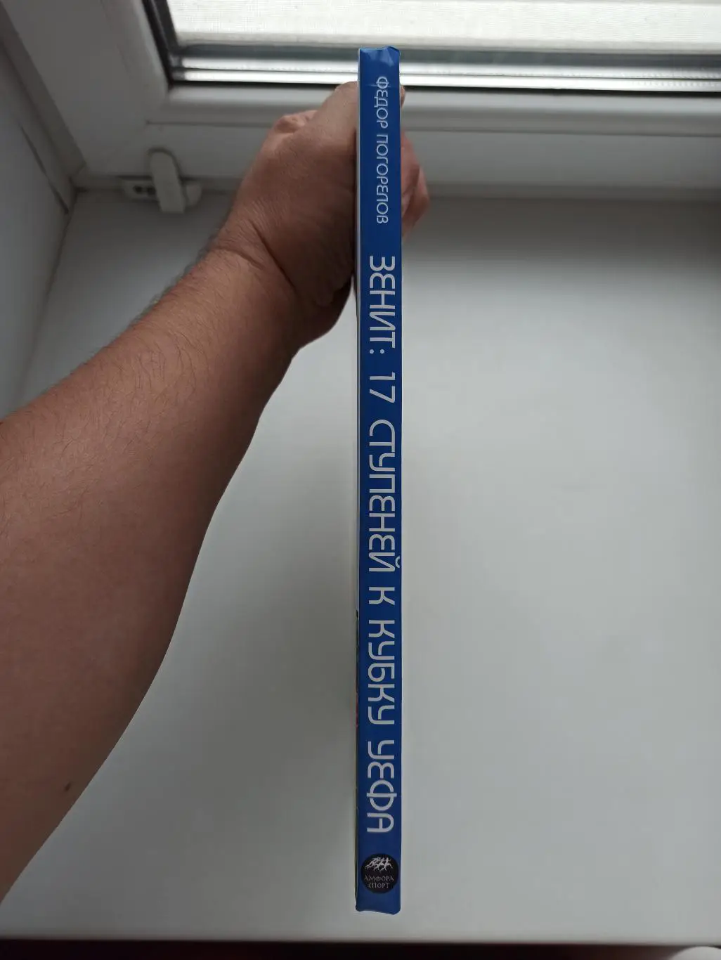 Футбол, Фёдор Погорелов, Зенит Санкт-Петербург, 17 ступеней к Кубку УЕФА, 2008г. 7