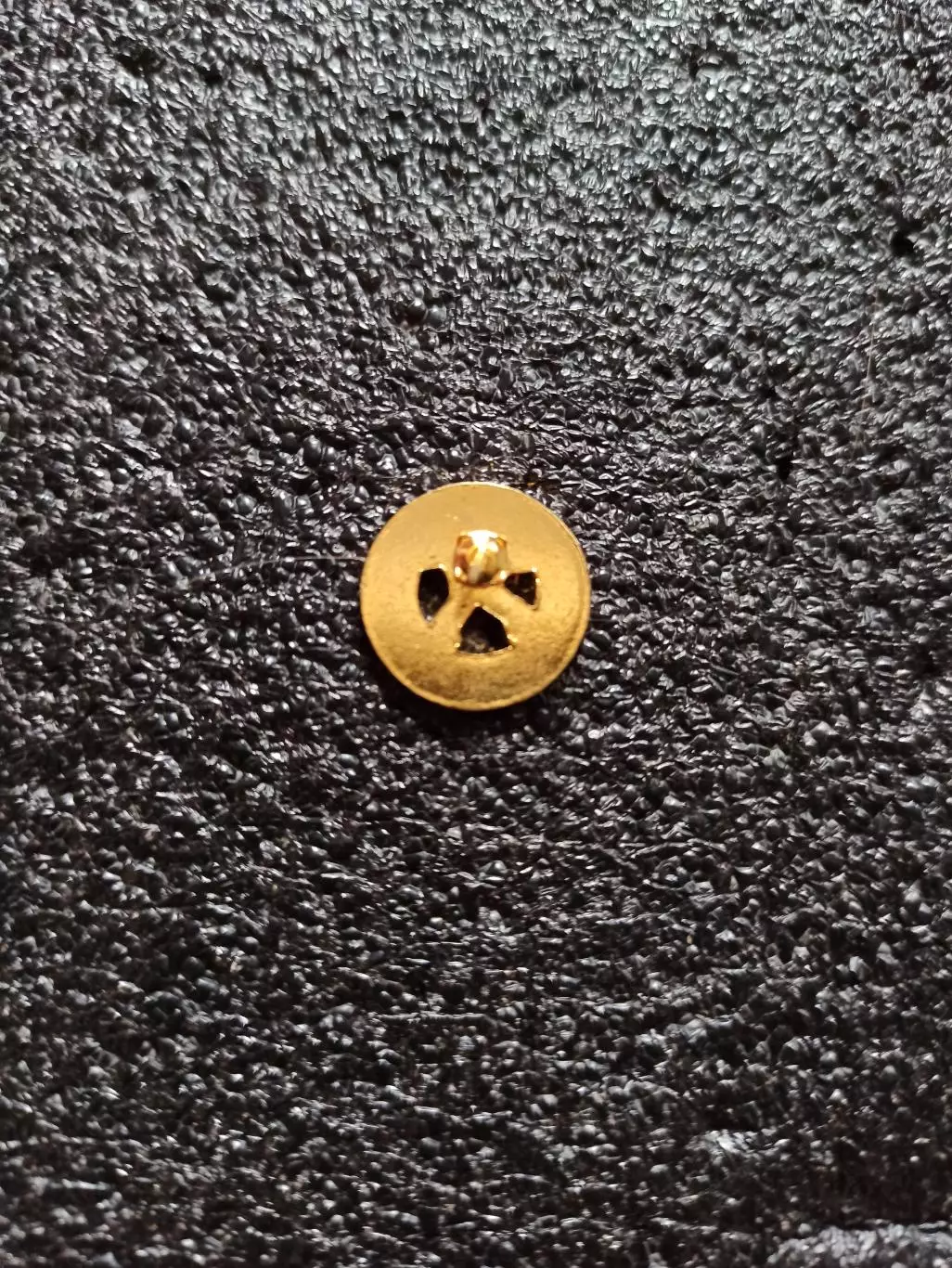 Спортивная гимнастика , Япония, федерация гимнастики, Japan gymnastic associatio 2