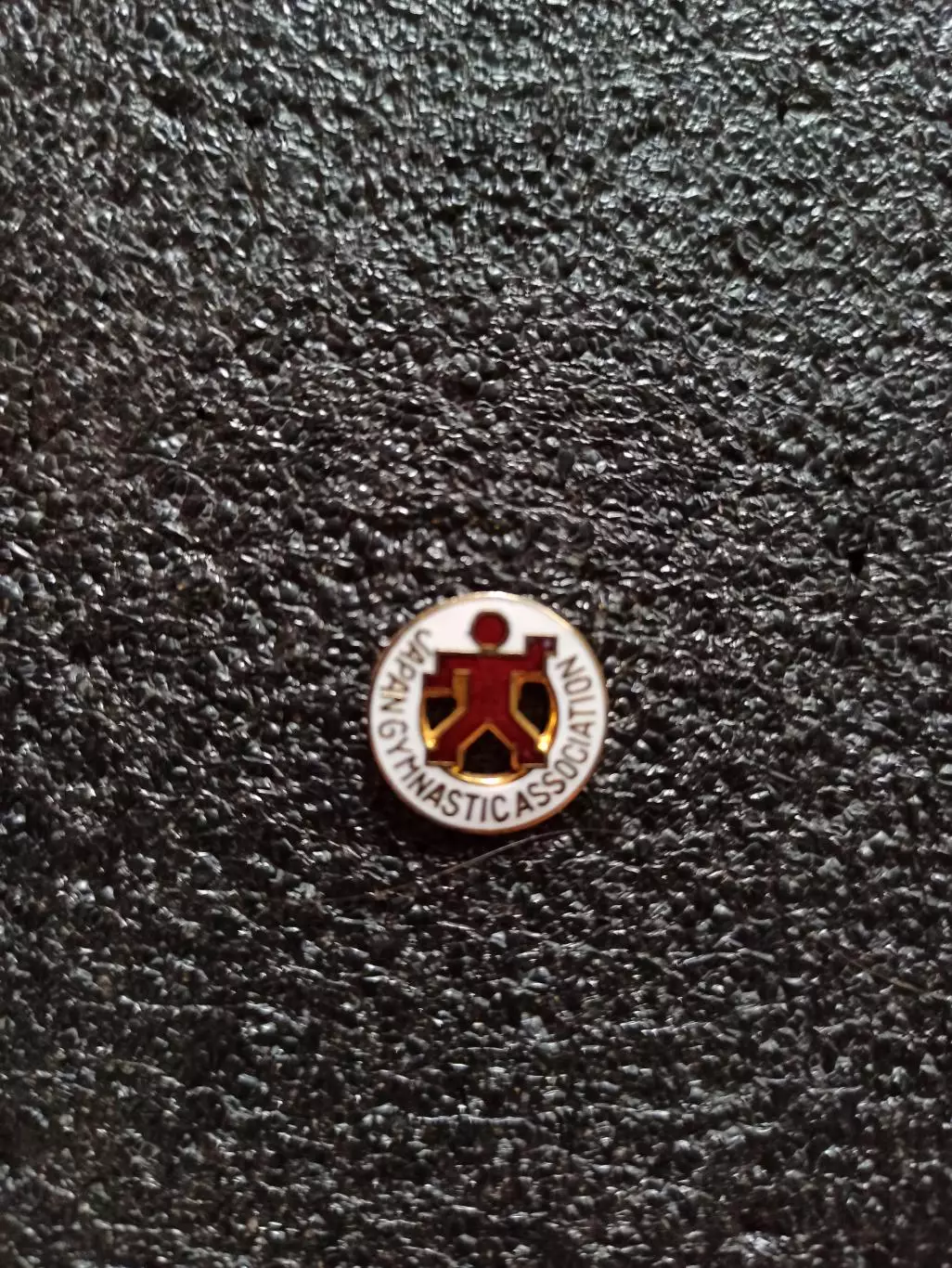 Спортивная гимнастика , Япония, федерация гимнастики, Japan gymnastic associatio 3