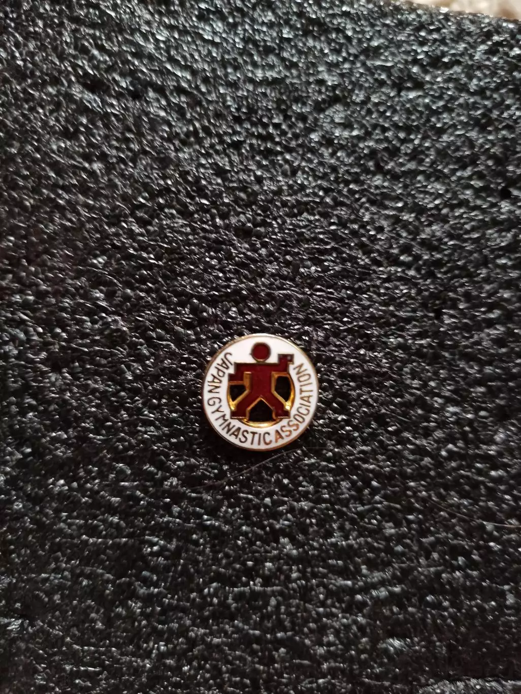 Спортивная гимнастика , Япония, федерация гимнастики, Japan gymnastic associatio 4