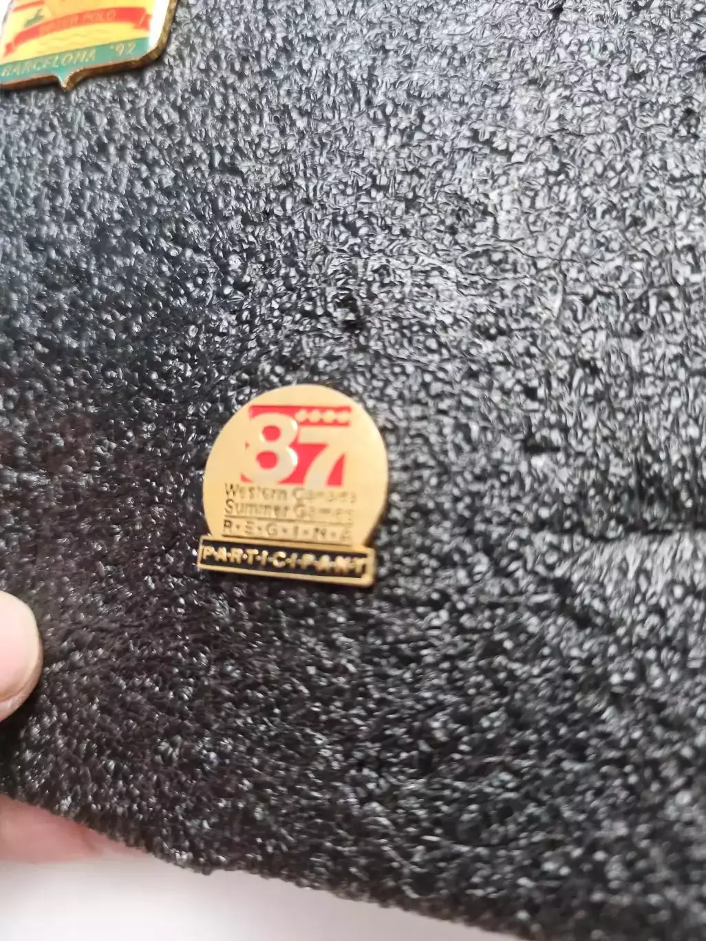 Летние игры Западной Канады, 1987г., участник, Western Canada Summer Games, Regi 2