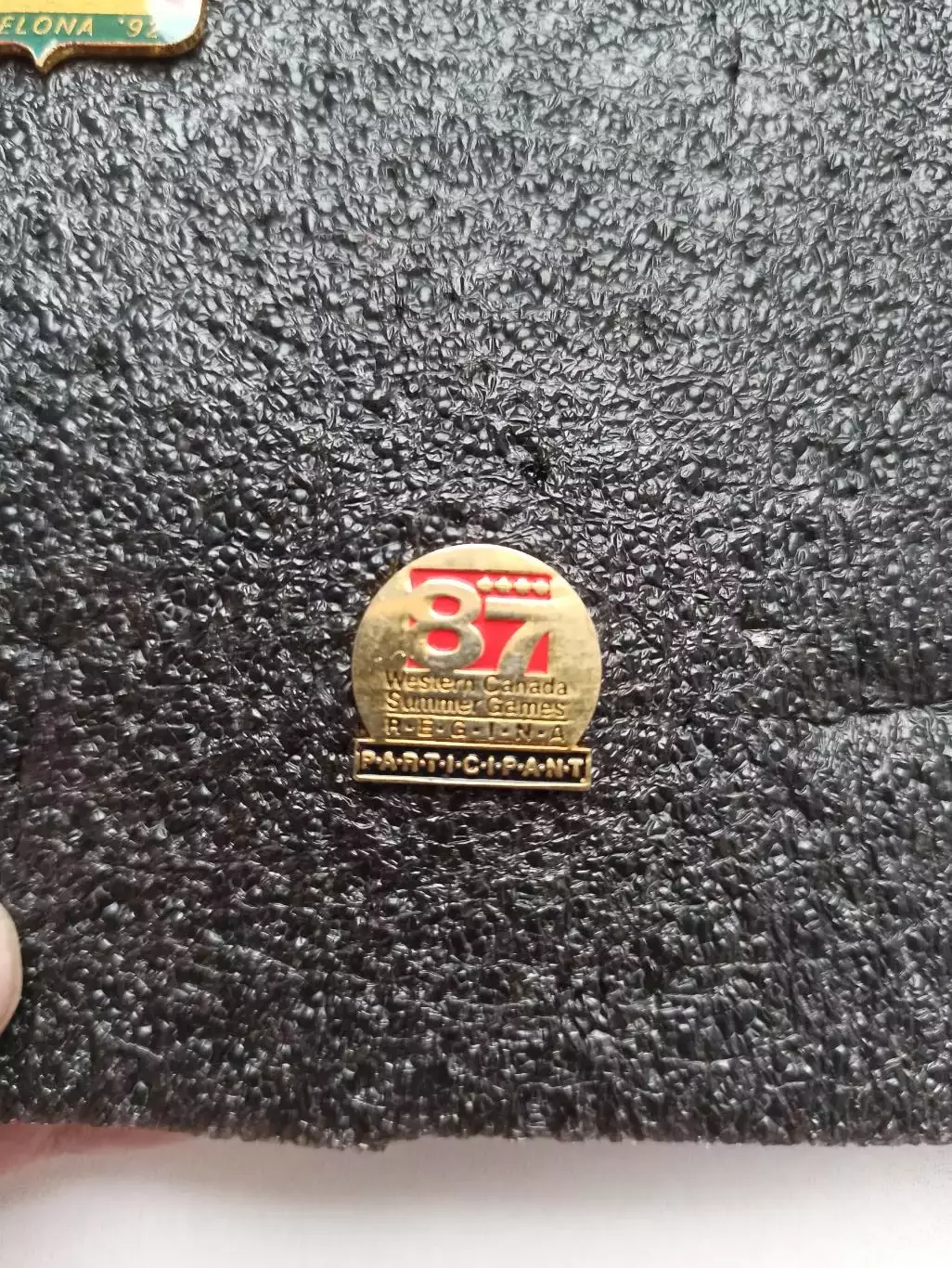 Летние игры Западной Канады, 1987г., участник, Western Canada Summer Games, Regi 3