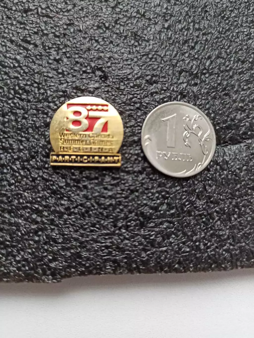 Летние игры Западной Канады, 1987г., участник, Western Canada Summer Games, Regi