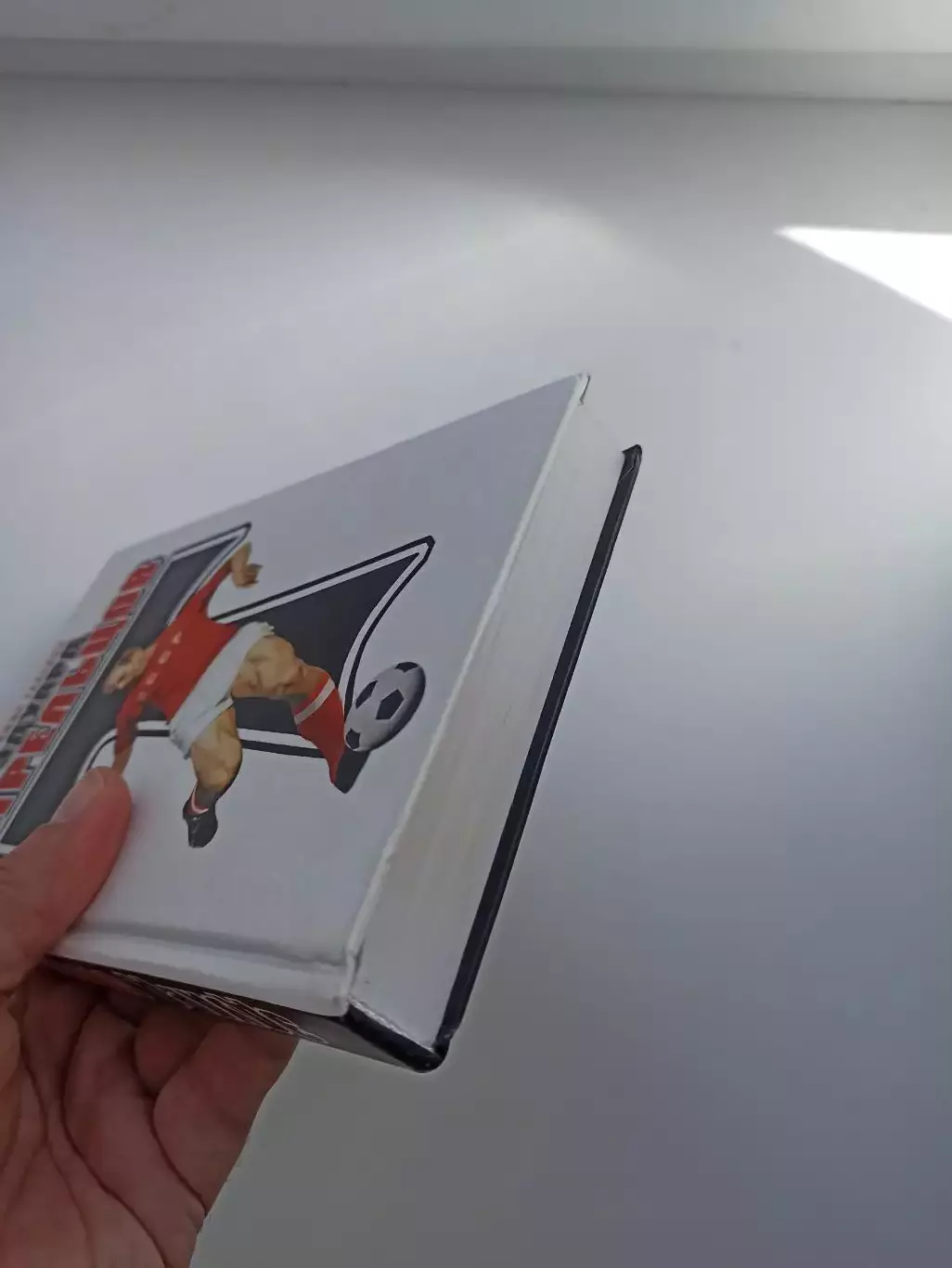 Книга, Владимир Галедин, Эдуард Стрельцов, 2018, редкость, тираж 320 экземпляров 3