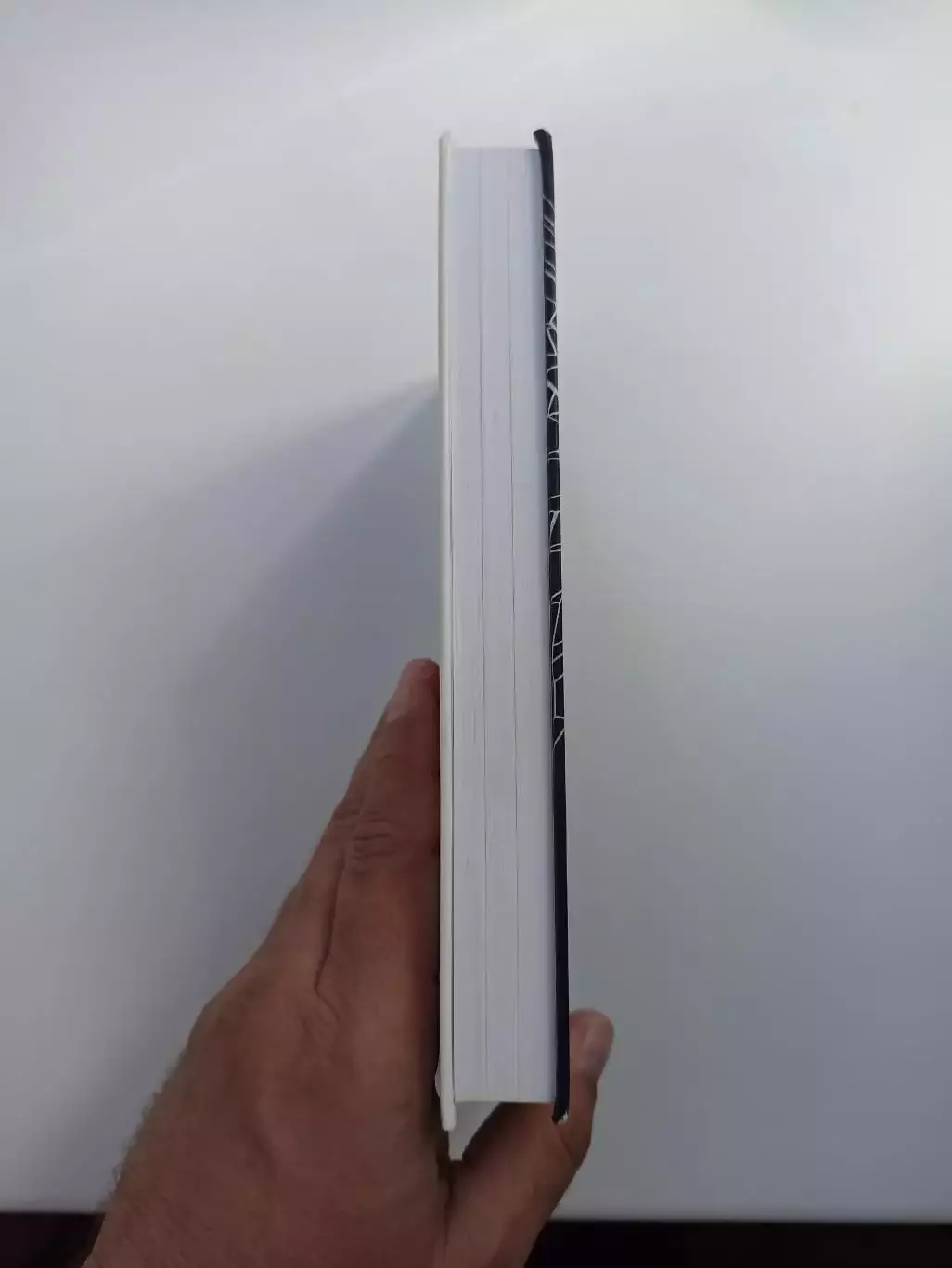 Книга, Владимир Галедин, Эдуард Стрельцов, 2018, редкость, тираж 320 экземпляров 5