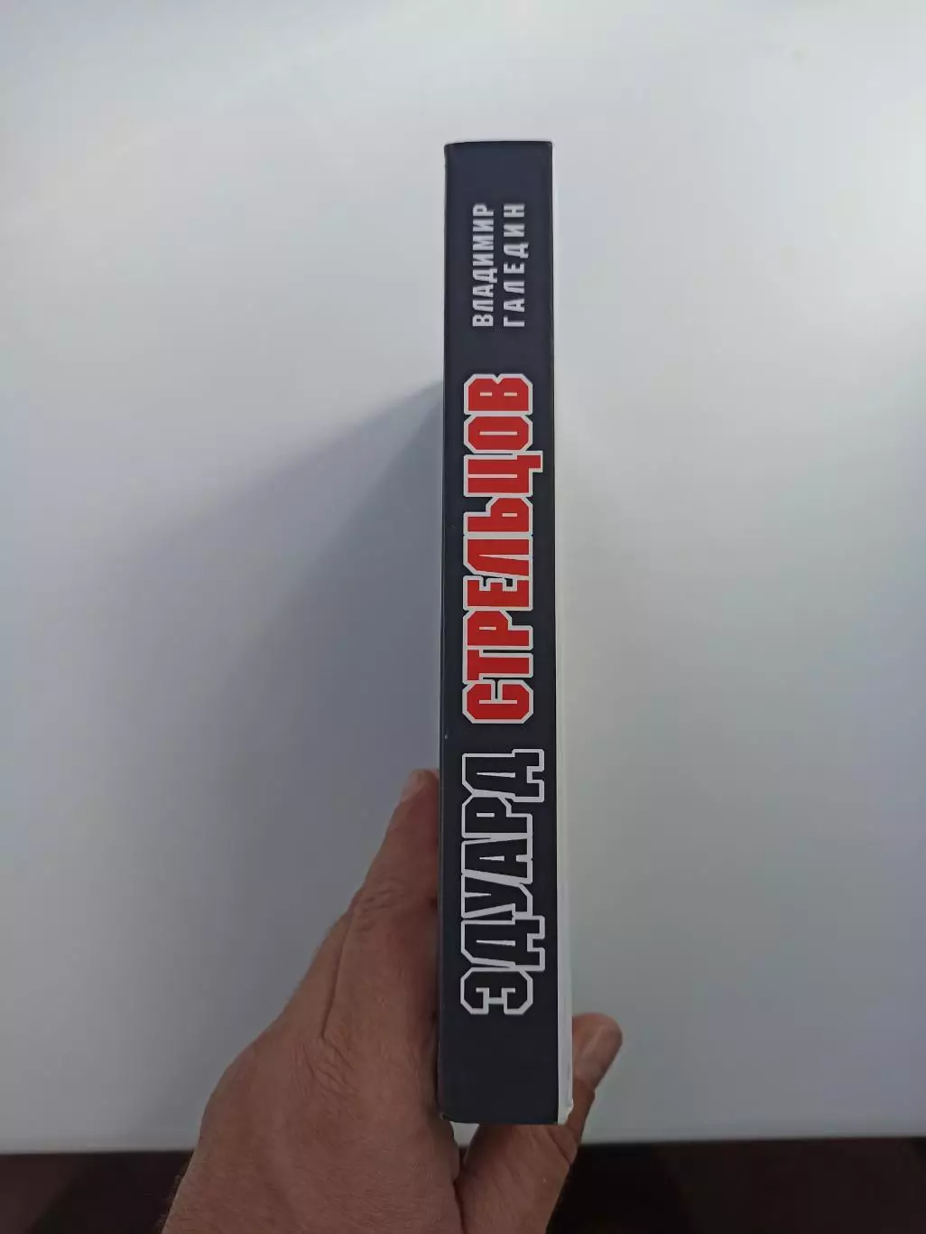 Книга, Владимир Галедин, Эдуард Стрельцов, 2018, редкость, тираж 320 экземпляров 7