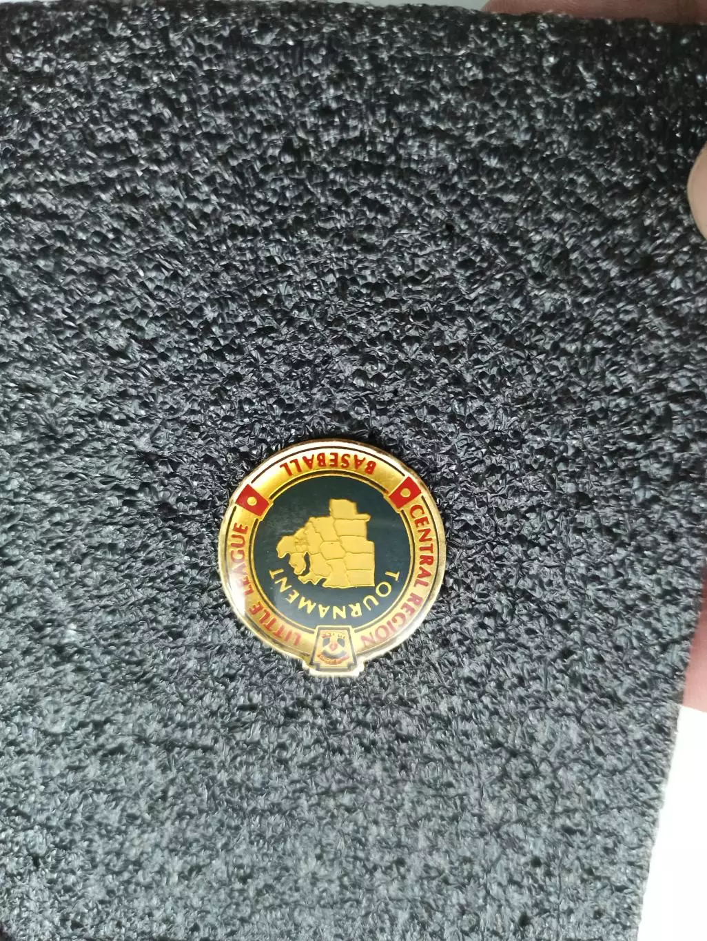 Бейсбол, США, младшая лига, турнир центрального региона, Little League Baseball 2