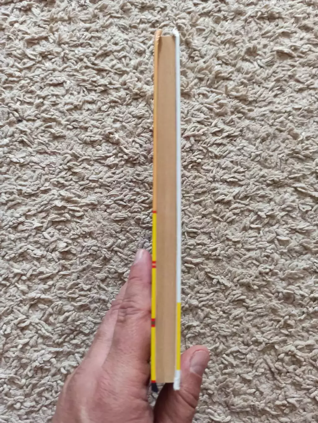 Боевые искусства, Е. Я. Гаткин Самбо для начинающих, Москва, АСТ, 2007 5