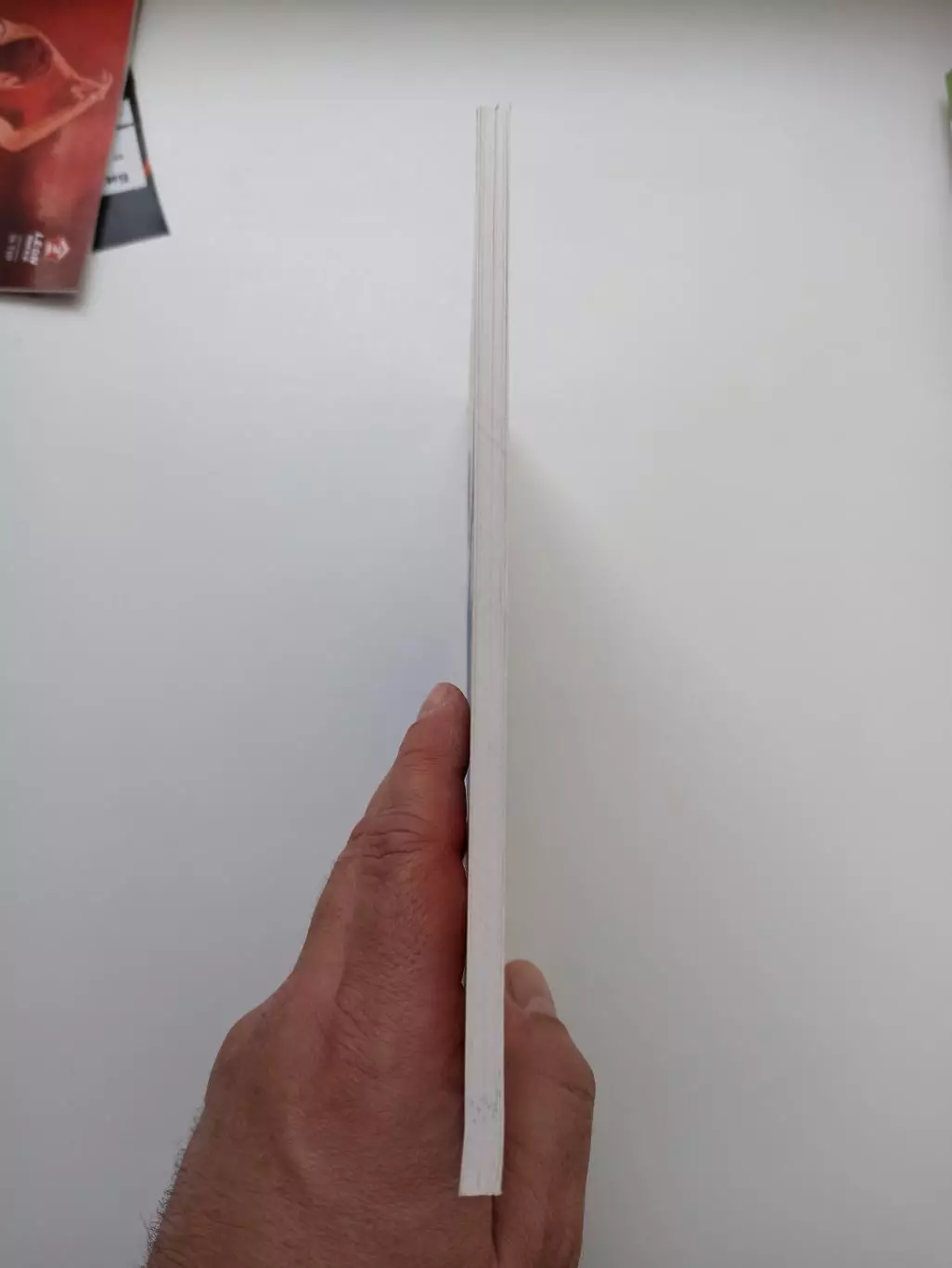 Справочник, Южно-Сахалинск, Сахалин-2003, Чемпионат области, история, статистика 5