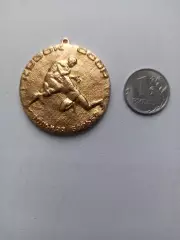 Вольная борьба, Кубок СССР, Липецк-88, Спортлото, редкая медаль, легкий, лот 1